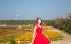 果冻传媒官方网站入口